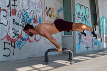 Cargar imagen en el visor de la galería, Pack Pro | Paralelas de Metal + Anillas de Calistenia