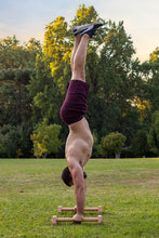 Cargar imagen en el visor de la galería, Pack Premium | Paralelas de Metal + Paralelas de Madera + Anillas de Calistenia