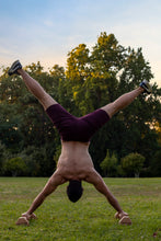 Cargar imagen en el visor de la galería, Pack Premium | Paralelas de Metal + Paralelas de Madera + Anillas de Calistenia